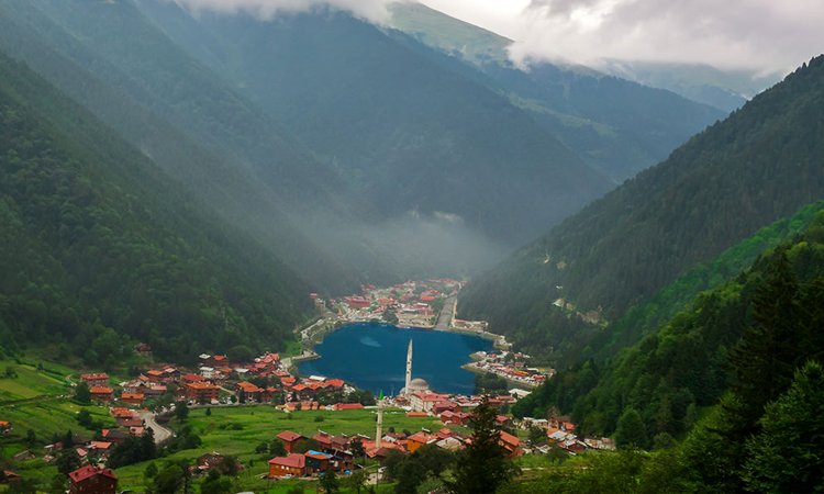 Trabzon Evden Eve Nakliyat